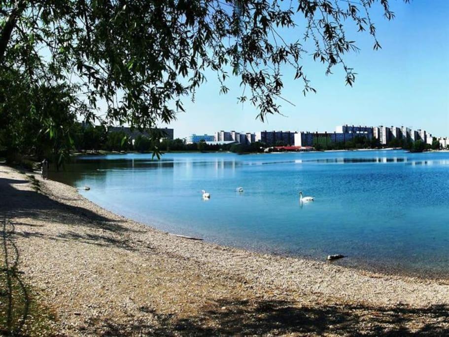 Lake Apartment, 2X Free Garage, 10 Mins To Centre Bratislava Eksteriør billede
